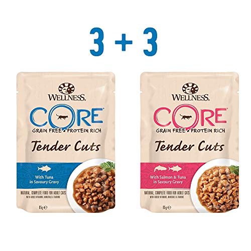 Wellness CORE - Juego de 6 Bolsas para Comida de Gato Mojado, sin Grano, 85 g