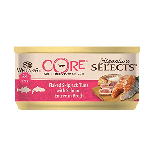 Wellness CORE Signature - Juego de 24 Bolas de Cocina para Gato sin Grano Mojado (79 g, con Entrada de salmón)