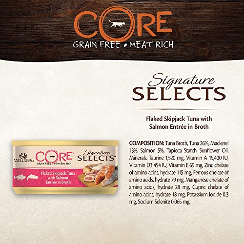 Wellness CORE Signature - Juego de 24 Bolas de Cocina para Gato sin Grano Mojado (79 g, con Entrada de salmón)