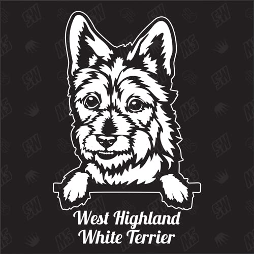 West Highland White Terrier Versión 1 - pegatina, perro, coche, razas de perros, mestizo, mezcla, animales, mascota (TAMBIÉN POSIBLE CON DESEADO)