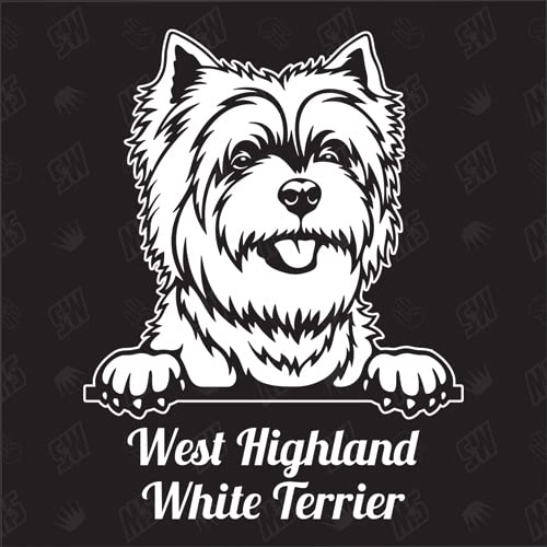 West Highland White Terrier Versión 2 - pegatina, perro, coche, razas de perros, mestizo, mezcla, animales, mascota (TAMBIÉN POSIBLE CON DESEADO)