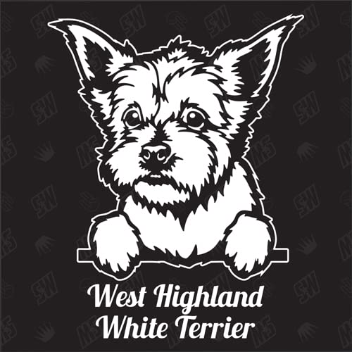 West Highland White Terrier versión 3 - pegatina, pegatina para perro, coche, razas de perros, pegatina, mestizo, mezcla, animales, mascota (también es posible con desear)