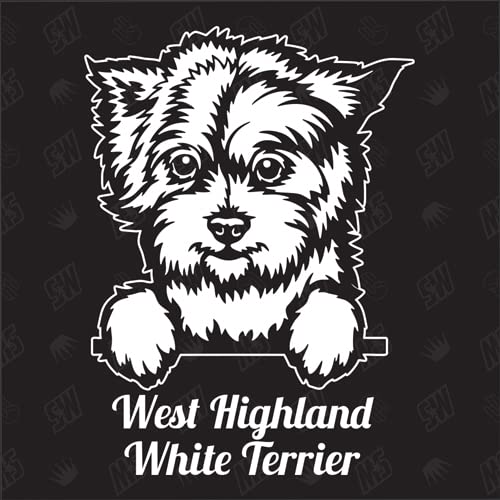 West Highland White Terrier versión 8 - pegatina, pegatina para perro, coche, razas de perros, pegatina, mestizo, mezcla, animales, mascota (también es posible con desear)