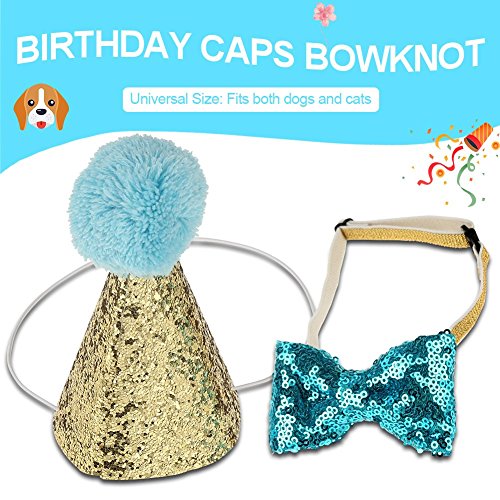 Wifehelper Bonito sombrero de cono de fiesta de cumpleaños para perro y pajarita collar de lentejuelas, Mini lindo gato para mascotas Perro Decoración (azul)