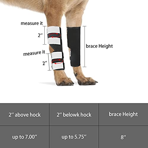 Wikay Perros caninos de Pierna Trasera Hock Joint Brace 2Pack Protector de Pierna y Soporte Adicional, Manga de compresión para Lesiones de heridas y esguinces para curación de Artritis