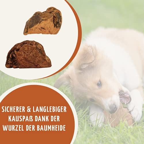 Wildfang® raíz de Brezo para Perros I Juguetes para Perros de Madera - Juguetes para Masticar - Cuidado Dental y Entrenamiento de los músculos masticadores I raíz Duradera y Natural M