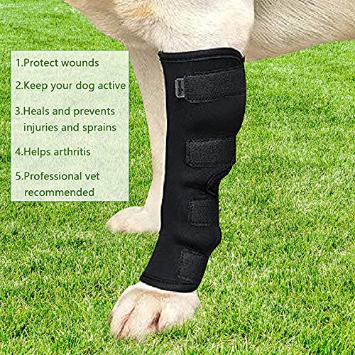 WingFly Vendaje de rodilla vendaje de protección de tobillo para perros, vendaje de apoyo de vendaje de articulación equipo de protección para mascotas rodilleras (L)