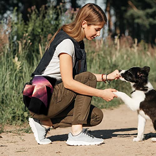 Wowakou Bolsa de entrenamiento para perros, la pesadilla antes de Navidad para mascotas, juguetes, bocadillos, riñonera para cachorros, caminar, correr, etc