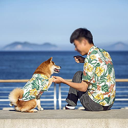 Wulivon Camiseta de algodón para perro o playa, ropa de verano fresca y refrescante, transpirable, antimanchas, ropa para perros y gatos pequeños y medianos