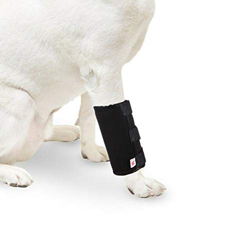 WXFEXIA Hock Brace para la pierna delantera del perro, envoltura de compresión canina que protege heridas y cura el apoyo debido a la artritis para prevenir lesiones y esguinces o caminar (1 par, M)