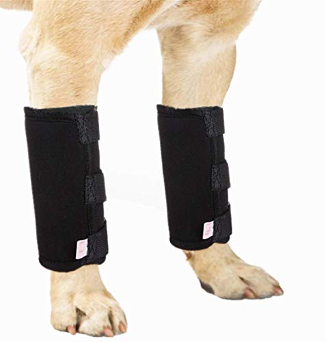 WXFEXIA Hock Brace para la pierna delantera del perro, envoltura de compresión canina que protege heridas y cura el apoyo debido a la artritis para prevenir lesiones y esguinces o caminar (1 par, M)