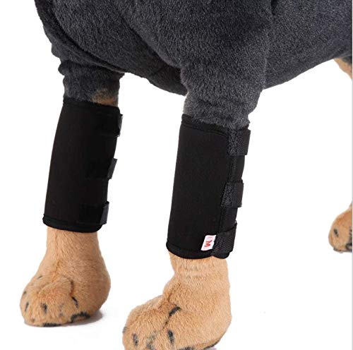 WXFEXIA Hock Brace para la pierna delantera del perro, envoltura de compresión canina que protege heridas y cura el apoyo debido a la artritis para prevenir lesiones y esguinces o caminar (1 par, M)