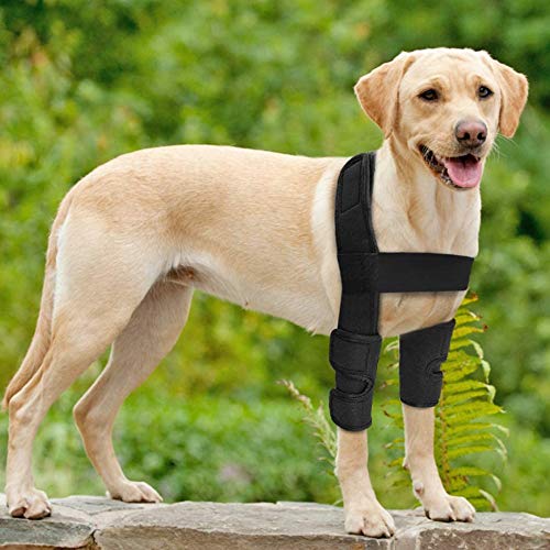 WXFEXIA Protector de codo para pierna delantera para perro, protección de heridas, soporte para curar y esguinces debido a la artritis para prevenir lesiones y esguinces o caminar (S)