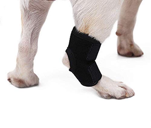 WXFEXIA Soporte para patas traseras de perro – Envoltura canina protege heridas y esguinces de apoyo debido a la artritis para prevenir lesiones y esguinces o caminar (1 par, S)