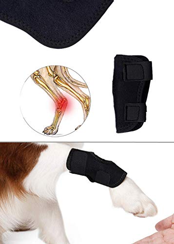 WXFEXIA Soporte para patas traseras de perro – Envoltura canina protege heridas y esguinces de apoyo debido a la artritis para prevenir lesiones y esguinces o caminar (1 par, S)