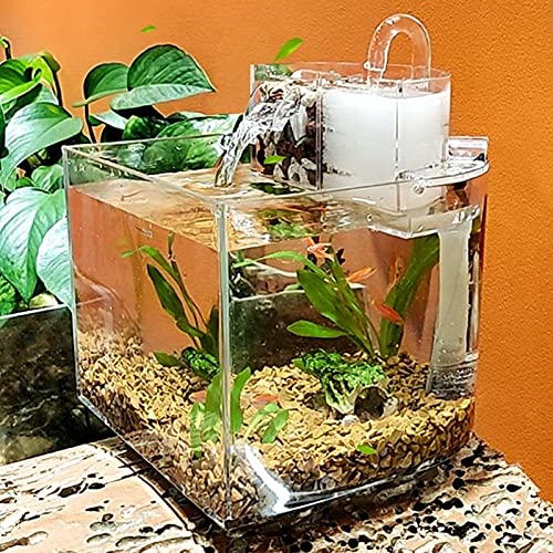 XIANGGUI 1983 Fish Bowls Mini Tablero de Escritorio de Tanques de Acuario para Peces pequeños Acuarios despejados Outlet de Cascada con Filtro de Bomba silencioso Algodón Pescados y Acuarios