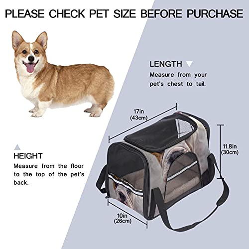 Xingruyun Transportín Perro Gato Bulldog inglés Bolsa de Transporte Plegable para Mascotas Transpirable Portador de Viaje para Perro y Gato 43x26x30 cm