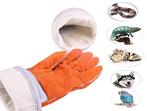 XINGSEB Cuerda Anti-Mordidas Guantes de Cuero, Adiestramiento Mascotas Guantes, Cuero Mascotas Agarrar Morder Guantes De de Seguridad Protección para Perros Gatos Reptiles (Color : Orange)