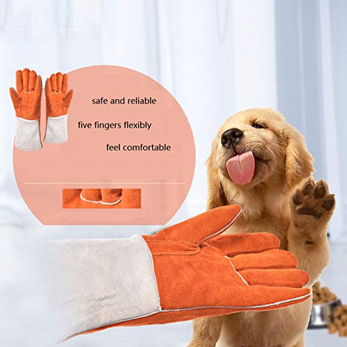 XINGSEB Cuerda Anti-Mordidas Guantes de Cuero, Adiestramiento Mascotas Guantes, Cuero Mascotas Agarrar Morder Guantes De de Seguridad Protección para Perros Gatos Reptiles (Color : Orange)