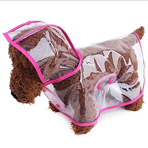 Xiuyer 3pcs Chubasqueros Perros Transparente Capucha Impermeable EVA Plastico Chubasqueros para Perros Pequeños Medianos