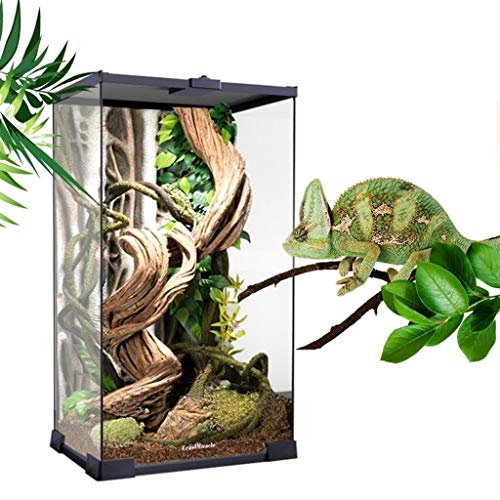 Xu-pet Acuático Tortuga Rana renacuajo Alimentación Tanque, Raza Fomentar Casa terrario, Mascota casa Reptil Vivarium Box (Size : 45 * 30.5 * 22.5CM)