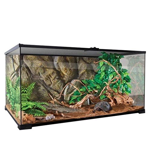 Xu-pet Acuático Tortuga Rana renacuajo Alimentación Tanque, Raza Fomentar Casa terrario, Mascota casa Reptil Vivarium Box (Size : 45 * 30.5 * 22.5CM)