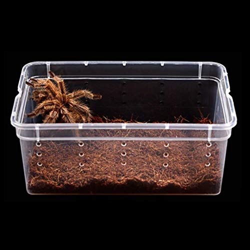 Xu-pet La alimentación de plástico Caja, Reptil Vivarium Breeding Box-Tortuga Lagarto Anfibio Insectos Que se alimentaban del Tanque Critter Condo Reptiles Jaula casa del Animal doméstico