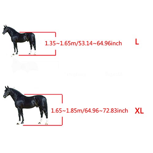 XXDYF Protectores para Caballos Neopreno, Protectores Ajustables para Pata De Caballo, A Prueba De Golpes, para Saltar, Eventos, Ecuestre,Black Set,XL