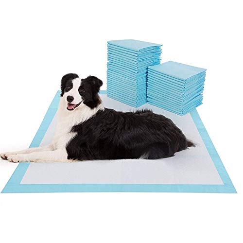 Yangfan La orina de ratón perrito pañales absorbentes del entrenamiento del perro del perro casero Pañales cojín for perros de perrito Suministros de limpieza desodorante pañales for mascotas Alfombra