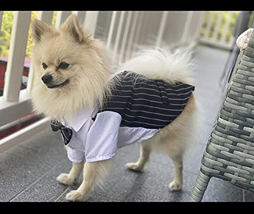 YAODHAOD Esmoquin de Perro a Rayas con Corbata, Traje de Perro para Fiesta de cumpleaños de Boda, Traje de Pajarita, Ropa para Mascotas para Perros pequeños (Negro, X-Large)