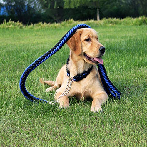 Yisatann Correas de adiestramiento caninas Nylon Rope Large Dog Leashes Rojo Pet Traction Rope Collar de Collar para Perros Grandes-S