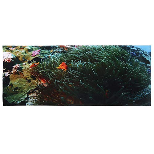 YOUTHINK Acuario Decoración Fondo Cartel Pegatina PVC Adhesivo Coral Pequeño Pez Patrón(61 * 41Cm)