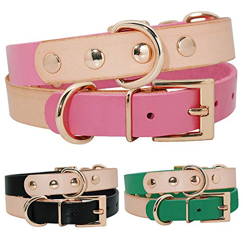 YUEHAN Collar De Perro Collar De Perro para Mascotas Collares De Cuero Genuino para Perros Accesorios Ajustables para Perros Pequeños Medianos Gatos Pug Beagle Productos para Mascotas Petshop SM