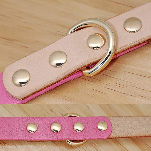 YUEHAN Collar De Perro Collar De Perro para Mascotas Collares De Cuero Genuino para Perros Accesorios Ajustables para Perros Pequeños Medianos Gatos Pug Beagle Productos para Mascotas Petshop SM