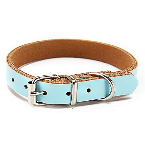 YUEHAN Collar De Perro Etiqueta De Collar De Perro Ajustable De Cuero para Gatos, Collar para Perros Pequeños Y Grandes, Accesorios para Entrenamiento De Cachorros Al Aire Libre, Mp0061