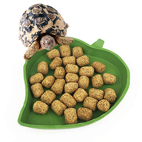 YUEMING 2 Piezas Platos Agua de Alimentos para Reptiles, La Forma de Hoja Verde del Reptil Alimentador para Tortuga Lagarto Gecko Serpiente Camaleón Pequeño Mascota Alimentos Agua Plato Tazón