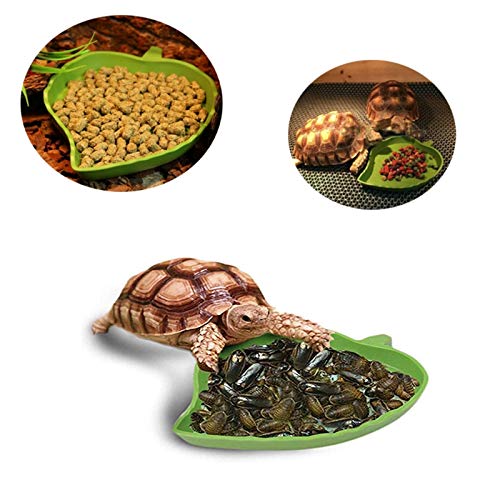 YUEMING 2 Piezas Platos Agua de Alimentos para Reptiles, La Forma de Hoja Verde del Reptil Alimentador para Tortuga Lagarto Gecko Serpiente Camaleón Pequeño Mascota Alimentos Agua Plato Tazón