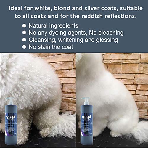 Yuup!® Champú profesional para el cuidado del color para el pelo blanco, botella de 1 litro