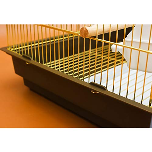 YZERTLH Jaula Pajaros 100cm azotea Grande pájaro de Metal de la Jaula del Loro de Budgie Lovebird Finch Jaula del pájaro del Animal doméstico con la Escala y la cría Box (Oro) Jaulas para Pajaros