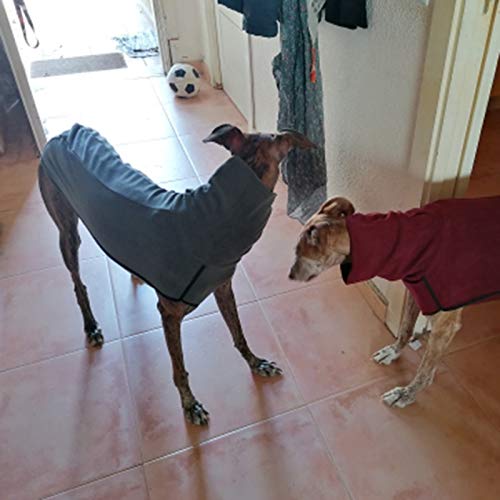 ZAJ Cuello del Abrigo for Perros Grandes Gran Danés Galgo Pitbull Ropa Ropa Animales Perro Medio Grande (Color : Light Gray, tamaño : 3XL)