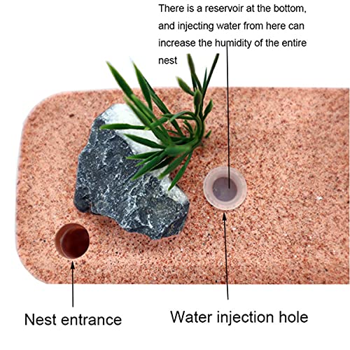 ZHL Yeso AntHouse Transparente Hormiguero Habitat Caja Exhibición Formicarium with Feeding Area Farm Ant Nest Insectos Villa Altamente Hidratantes Kit Educativo (Color : Blue)