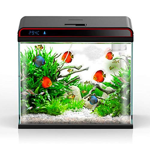 zhppac Limpiador De Cristales Acuarios Accesorios Aspirador de Grava para pecera Vidrio del Acuario de Limpieza Decoraciones y Accesorios para peceras 2-in-1