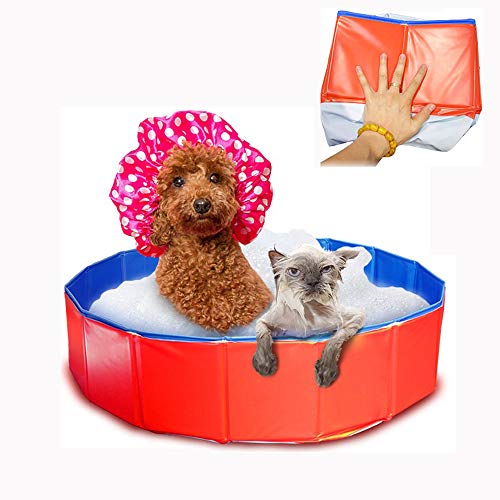 ZHXY Bañera para Perros Bañera Plegable Golden Retriever Bañera para Mascotas dedicada Bañera Grande para Perros Cubo de baño Suministros para Gatos