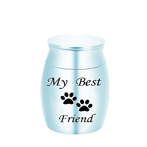 ZJND Colgantes para Cenizas Soporte de Cenizas para Mascotas Memorial mi Mejor Amigo Gato Perro pájaro urna Mini urna de cremación para Mascotas Cenizas Perro Pata Print urn Urnas para Cenizas