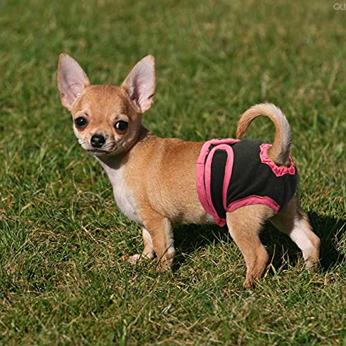 ZNZT Ropa para Perros Pantalones Fisiológicos para Perros, Ropa Interior para Cachorros Y Gatos, Pantalones Cortos con Tirantes, Pañales Sanitarios para Perros Pequeños Y Grandes para Niñas