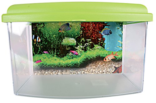 Zolux Travelbox II Acuario para Transporte/habitación Infantil para acuariofilia 22 cm