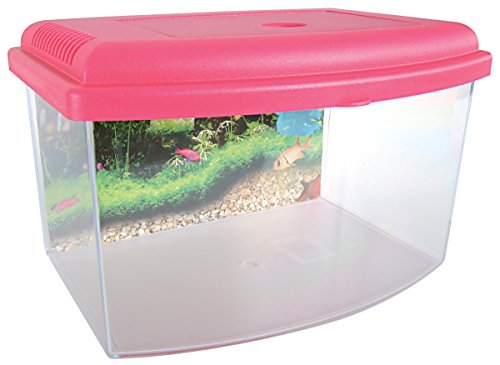 Zolux Travelbox II Acuario para Transporte/habitación Infantil para acuariofilia 22 cm