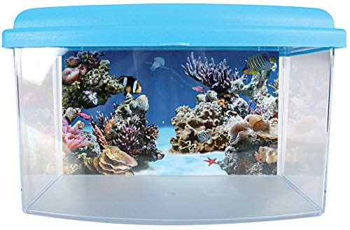 Zolux Travelbox II Acuario para Transporte/habitación Infantil para acuariofilia 22 cm