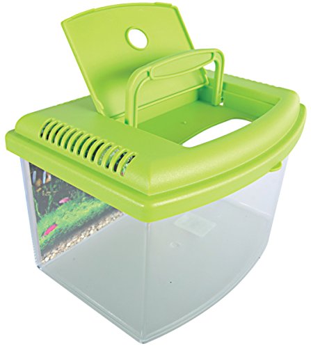 Zolux Travelbox II Acuario para Transporte/habitación Infantil para acuariofilia 22 cm