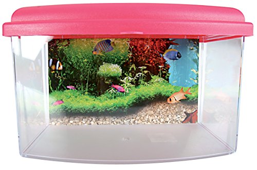 Zolux Travelbox II Acuario para Transporte/habitación Infantil para acuariofilia 22 cm